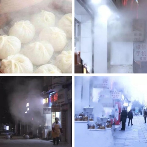包子鋪蒸氣處理機(jī)500.jpg