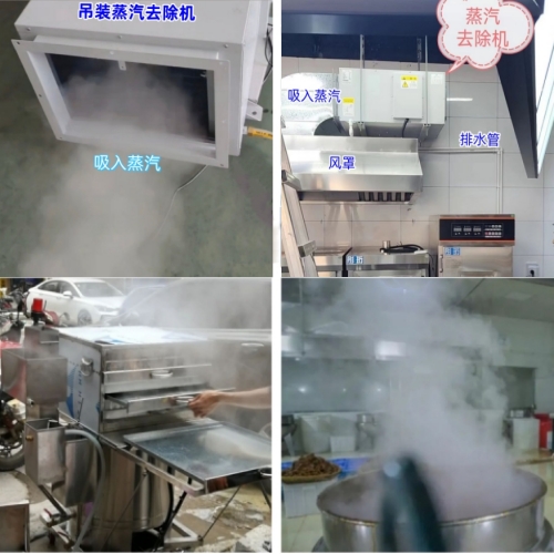 腸粉機(jī)蒸汽 去除機(jī)500.jpg